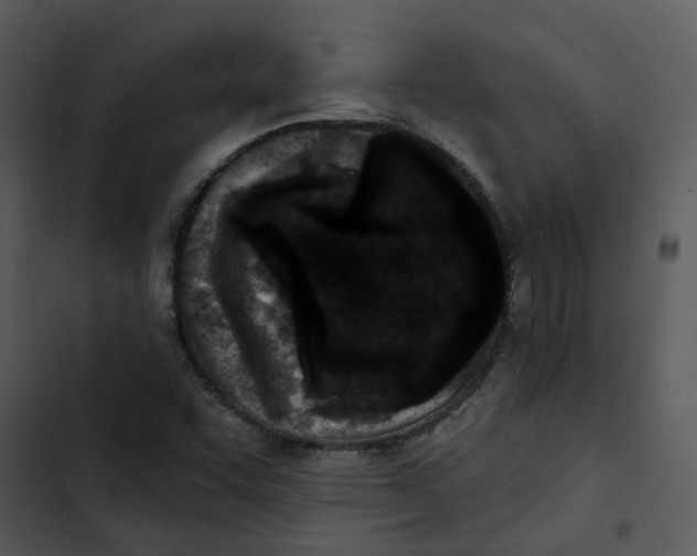 X0000102831455200809081144