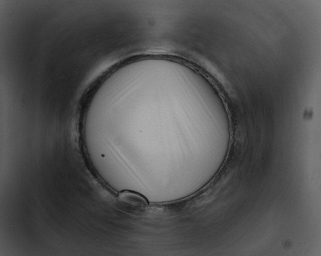 X0000102831456200809081144