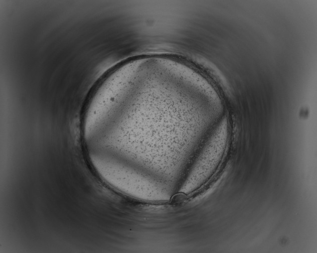 X0000102831457200809081144