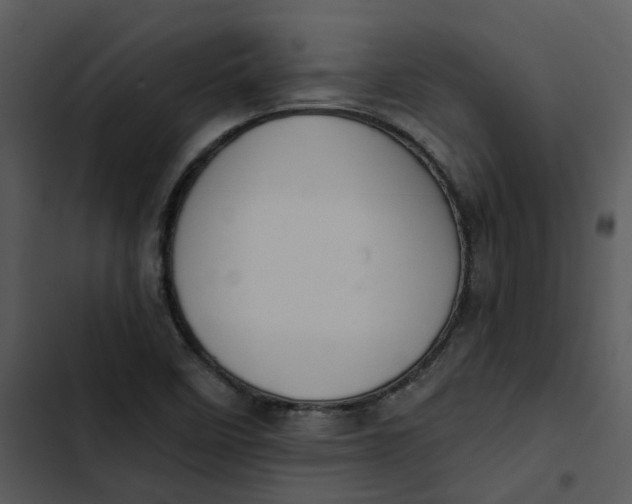 X0000102831458200809081144