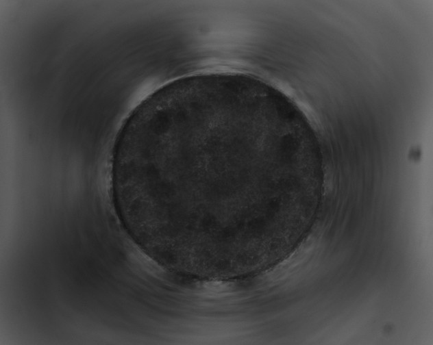 X0000102831459200809081144