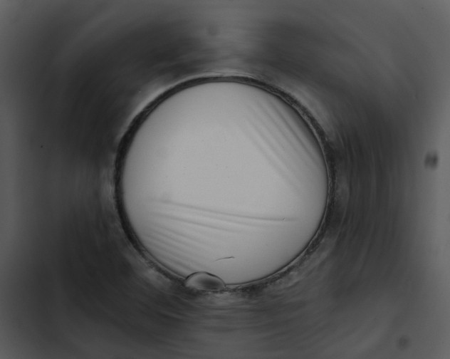 X0000102831460200809081144