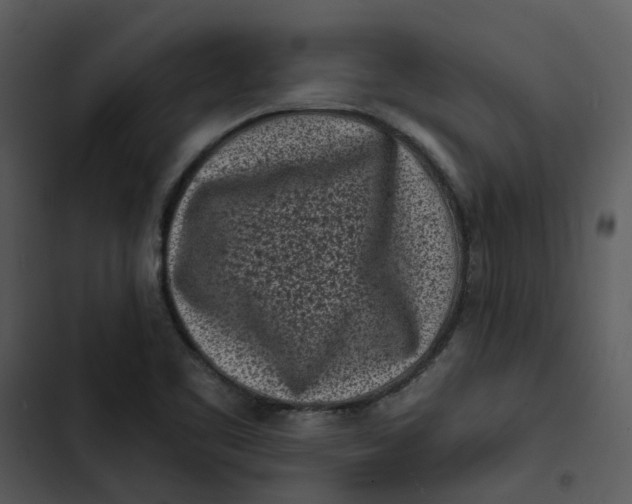 X0000102831461200809081144