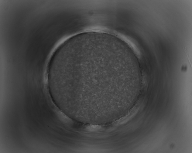 X0000102831462200809081144