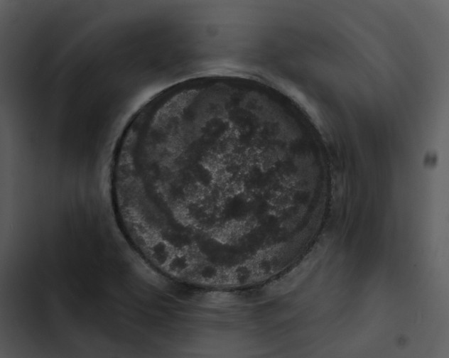 X0000102831463200809081144