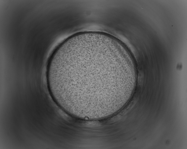 X0000102831464200809081144