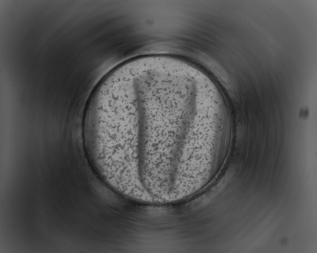 X0000102831465200809081144