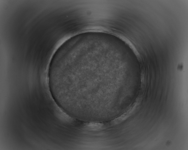 X0000102831466200809081144