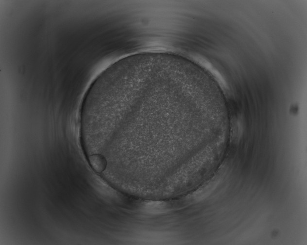 X0000102831467200809081144