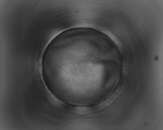 X0000102831468200809081144