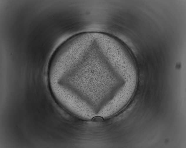 X0000102831469200809081144