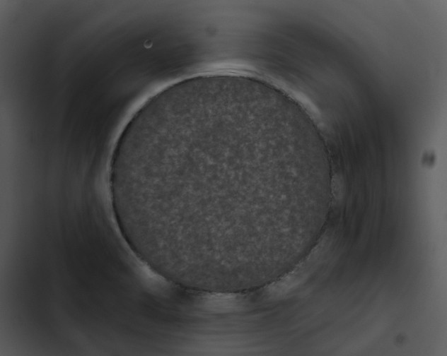 X0000102831470200809081144