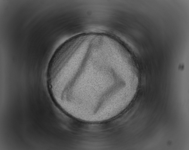 X0000102831471200809081144