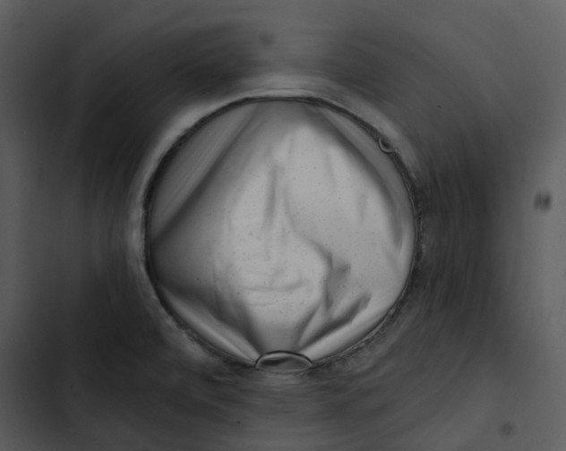 X0000102831472200809081144