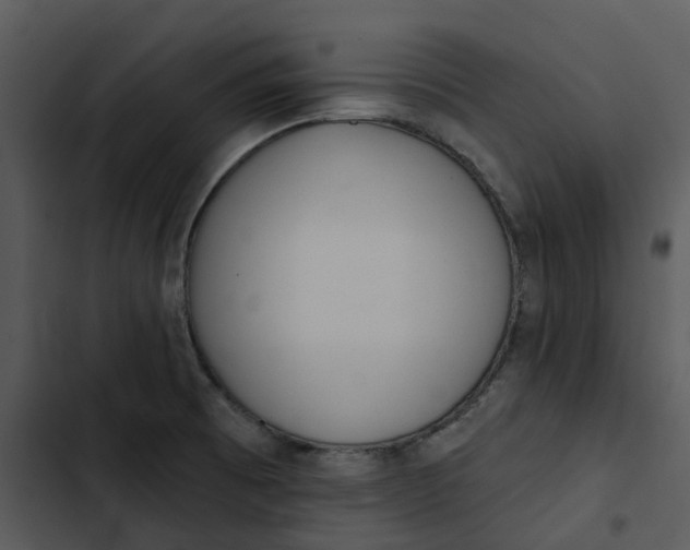 X0000102831473200809081144