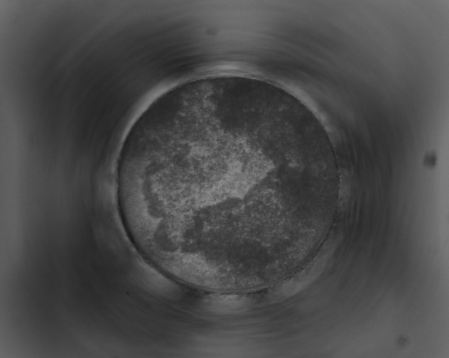 X0000102831474200809081144