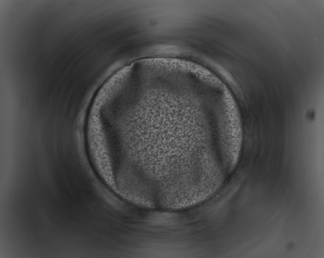 X0000102831475200809081144