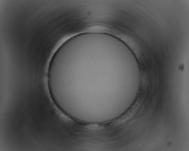 X0000102831478200809081144