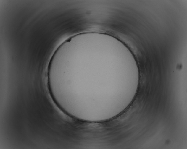 X0000102831479200809081144