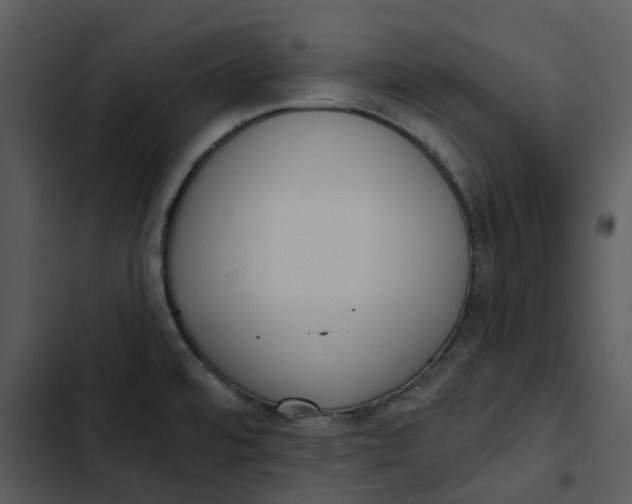 X0000102831480200809081144