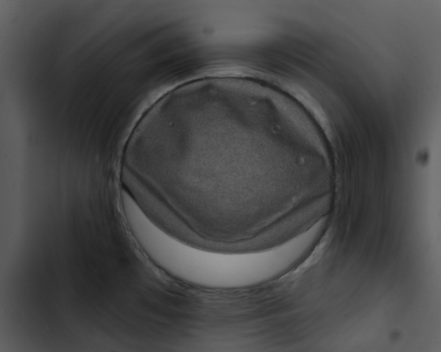 X0000102831481200809081144