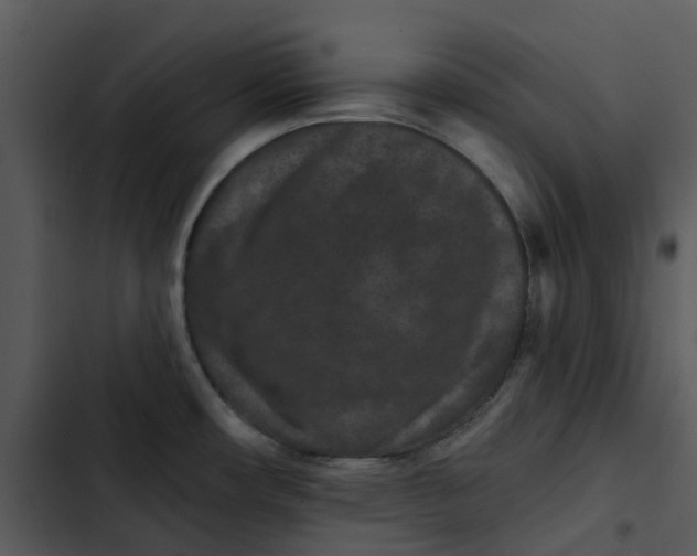 X0000102831482200809081144