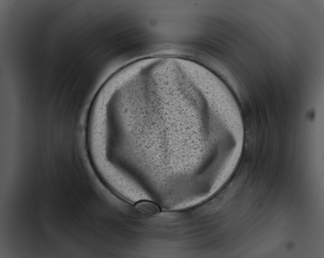 X0000102831483200809081143