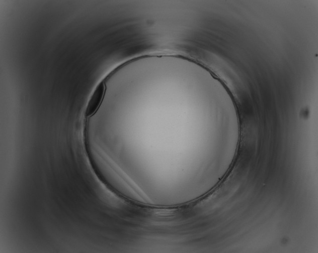 X0000102831484200809081143