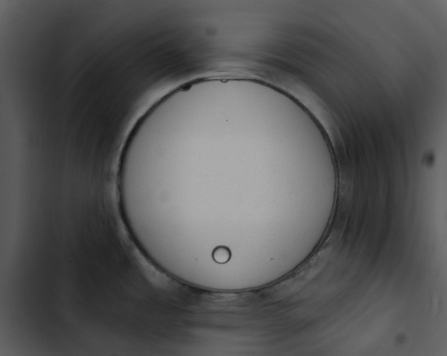 X0000102831485200809081143