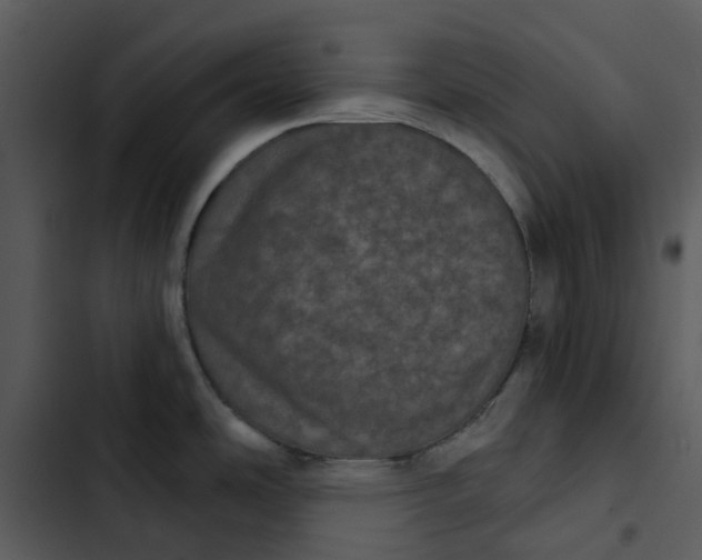 X0000102831486200809081143