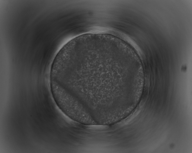 X0000102831487200809081143