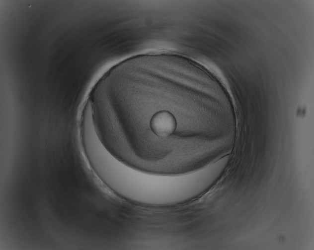 X0000102831488200809081143