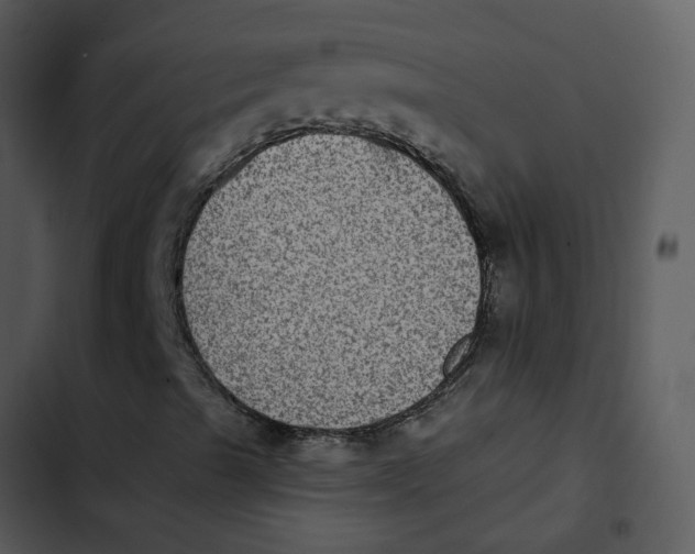 X0000102831489200809081142