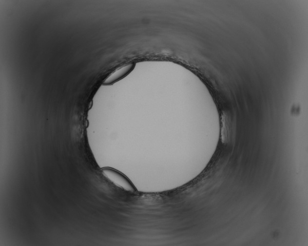 X0000102831491200809081142