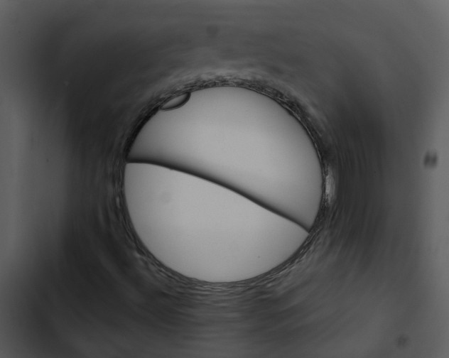 X0000102831492200809081142