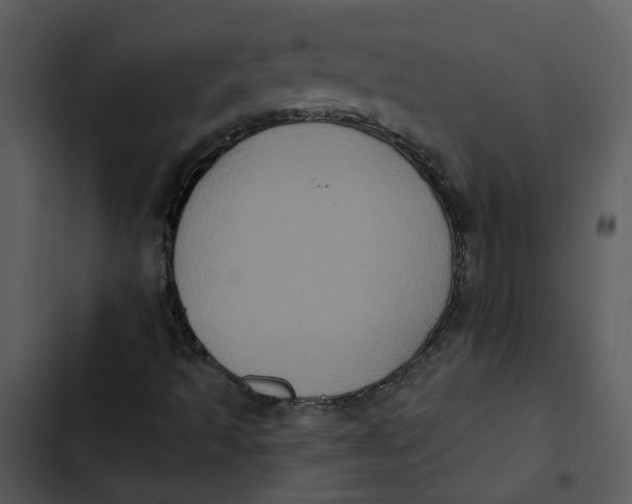 X0000102831493200809081142