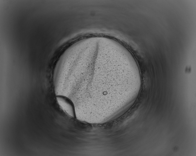 X0000102831494200809081142