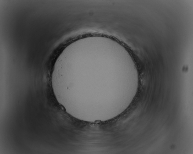 X0000102831495200809081143