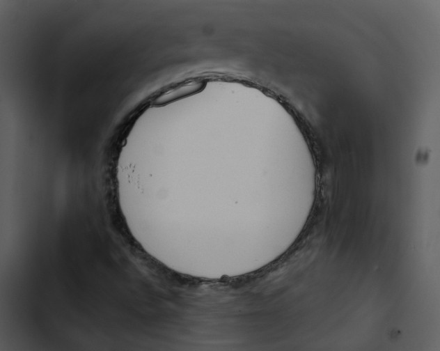 X0000102831496200809081143