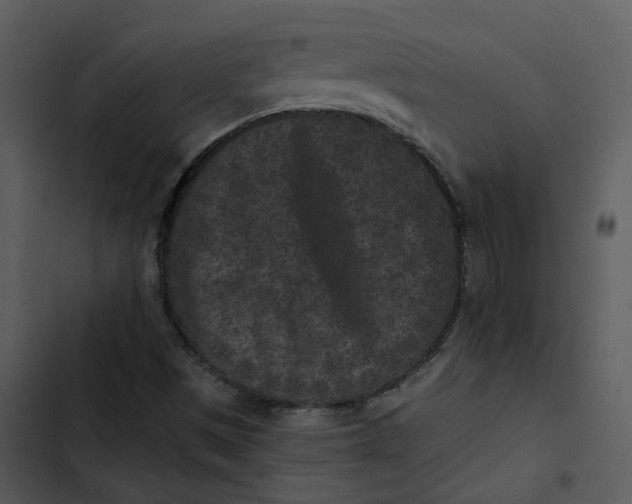 X0000102831497200809081143