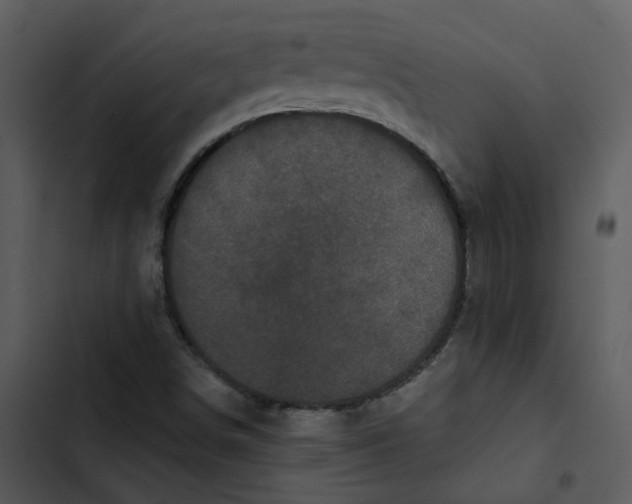 X0000102831498200809081143