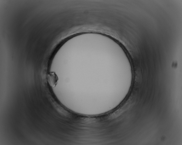 X0000102831499200809081143