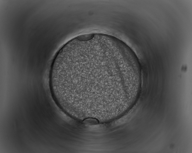 X0000102831500200809081143