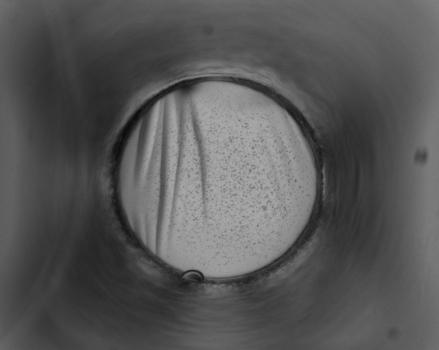 X0000102831501200809081143