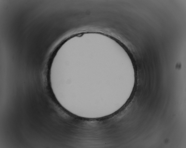 X0000102831502200809081143