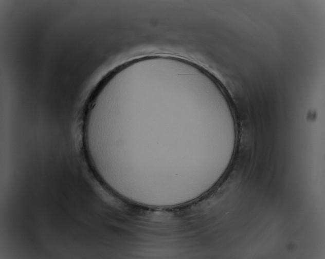 X0000102831503200809081143