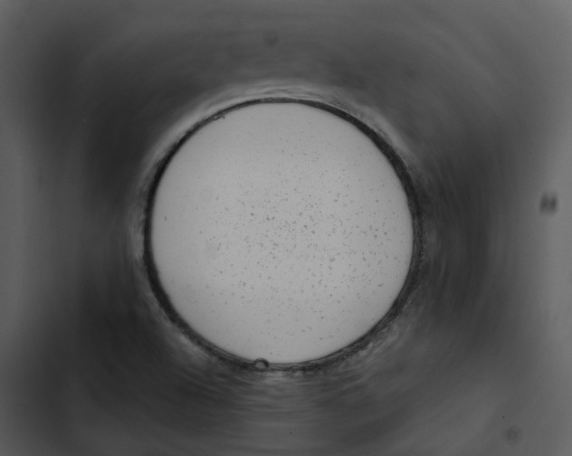 X0000102831504200809081143