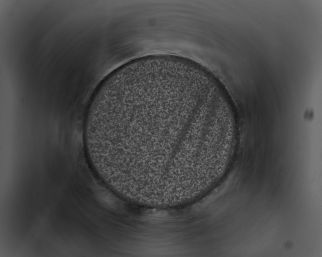 X0000102831505200809081143