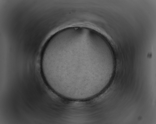 X0000102831506200809081143