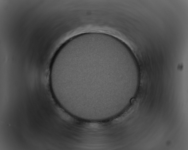 X0000102831507200809081143